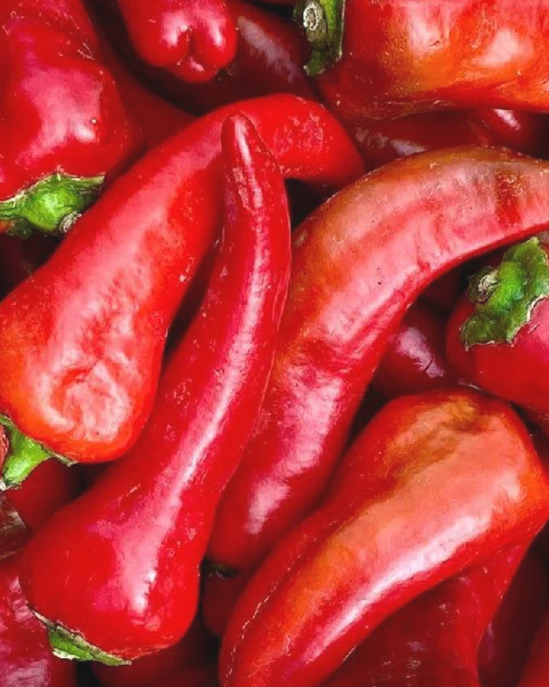 Master Authentic New Mexico Red Chile Sauce at Home